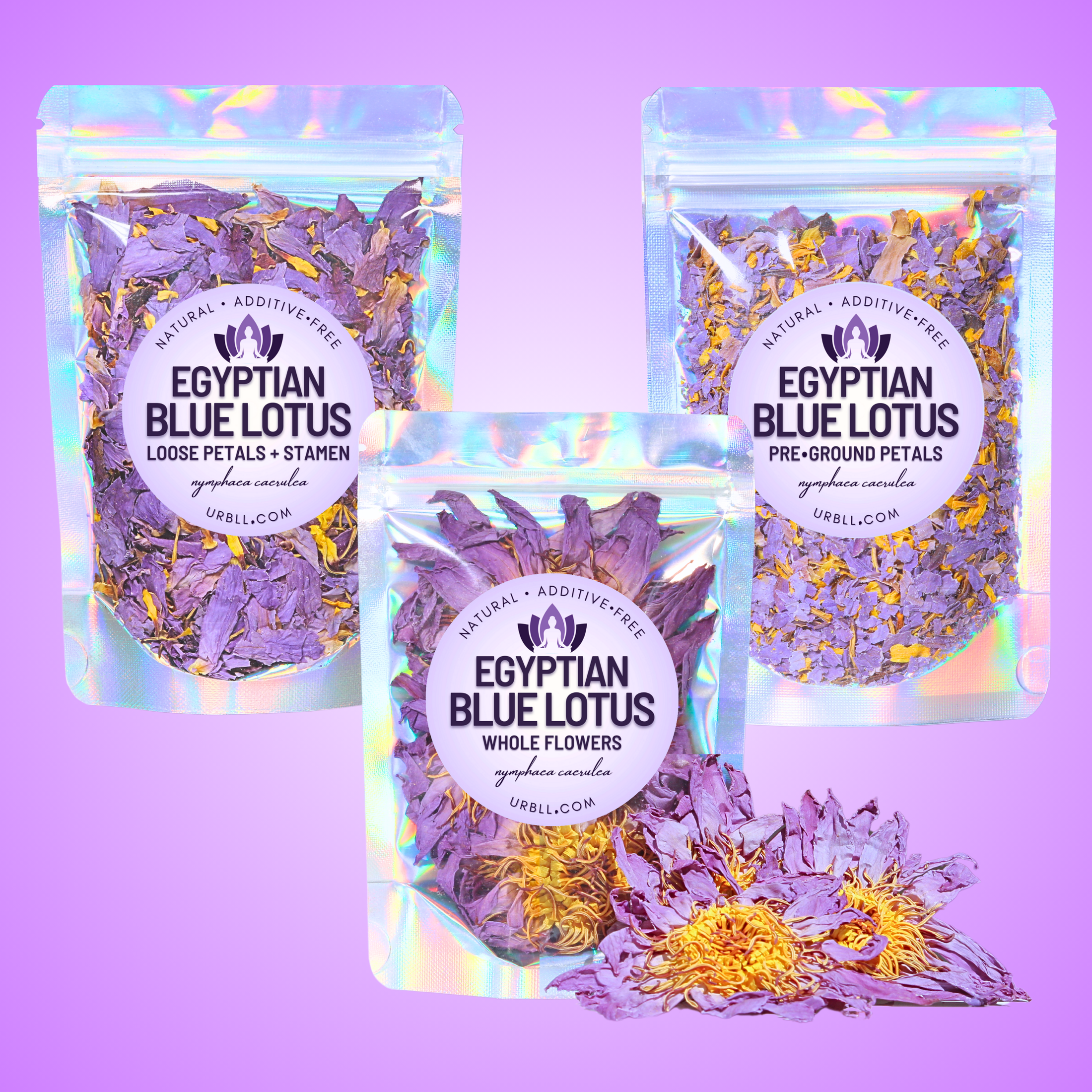 egyptian blue lotus flower seeds Egyptian Blue Lotus Whole Flowers • 1KG Bulk Wholesale 1KG
