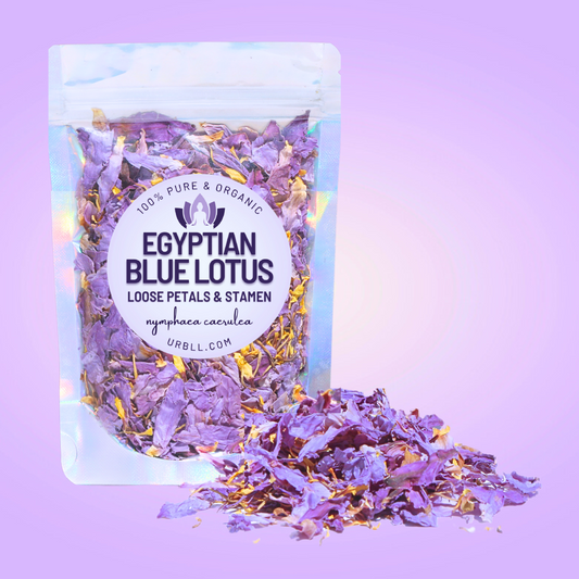 Egyptian Blue Lotus Loose Petals + Stamen