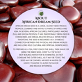 Load image into Gallery viewer, African Dream Seed • Entada rheedii
