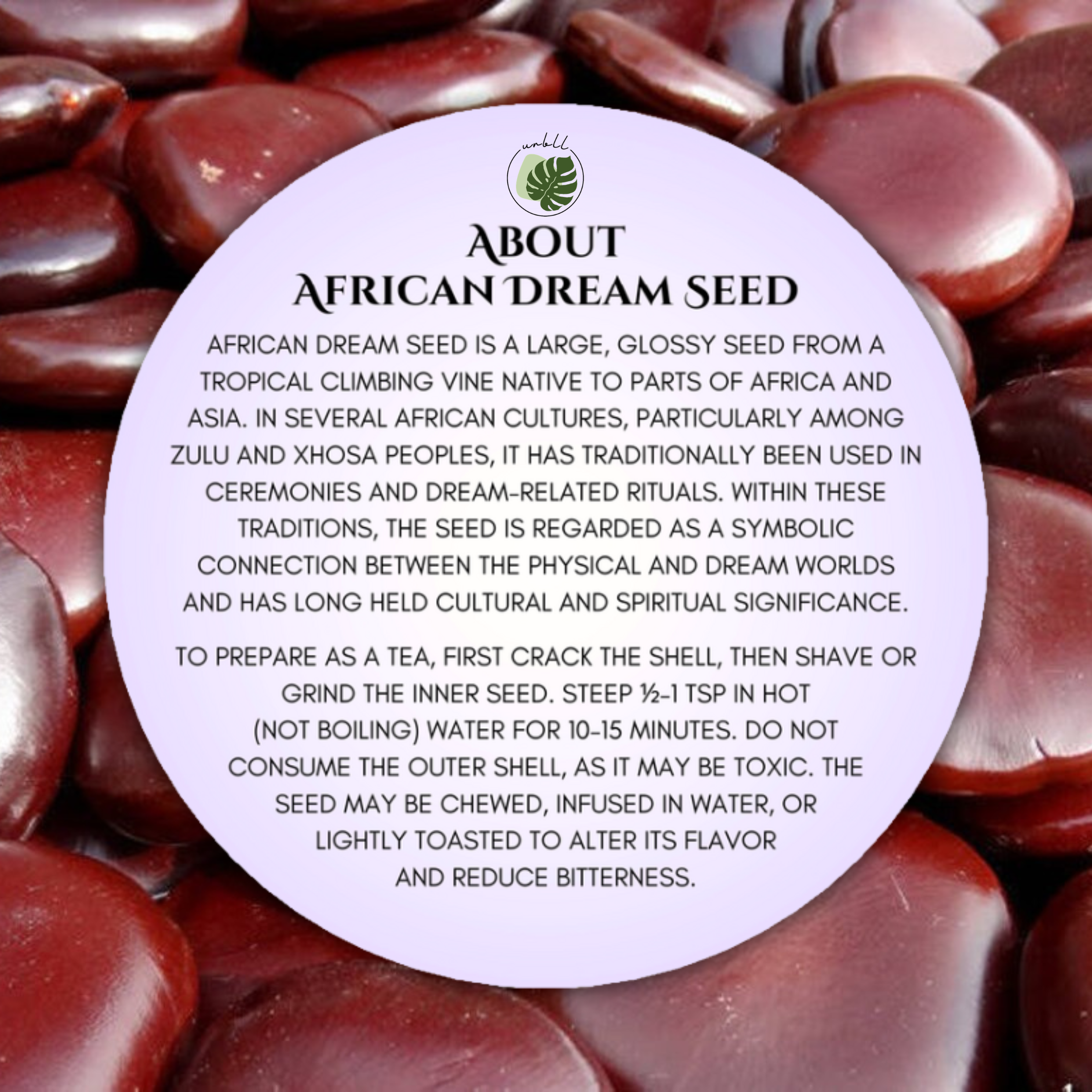 African Dream Seed • Entada rheedii