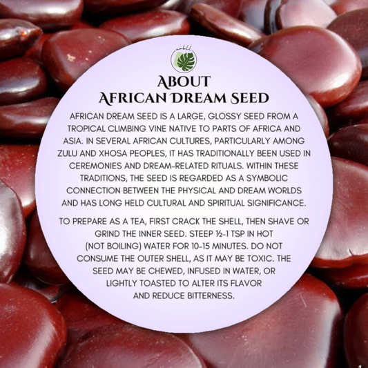 African Dream Seed • Entada rheedii
