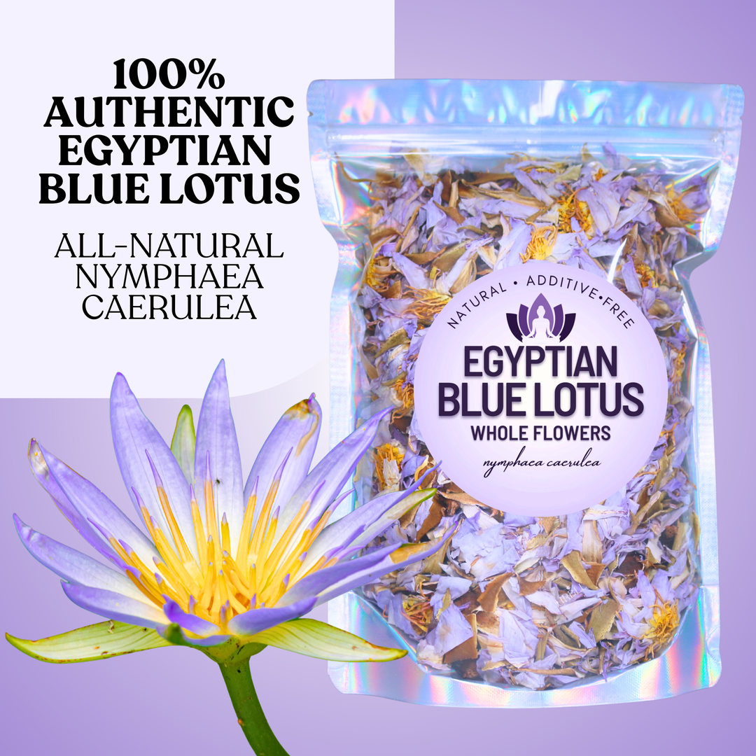 Packaged Egyptian Blue Lotus flowers with a flower on a purple background