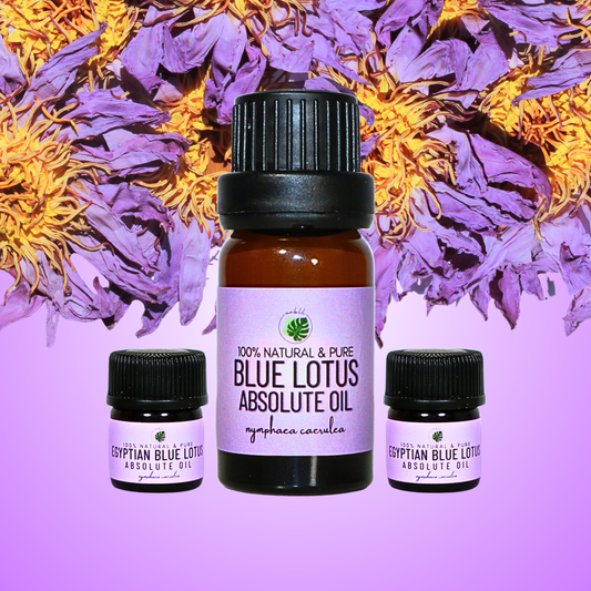 Egyptian Blue Lotus Absolute Oil • Nymphaea caerulea