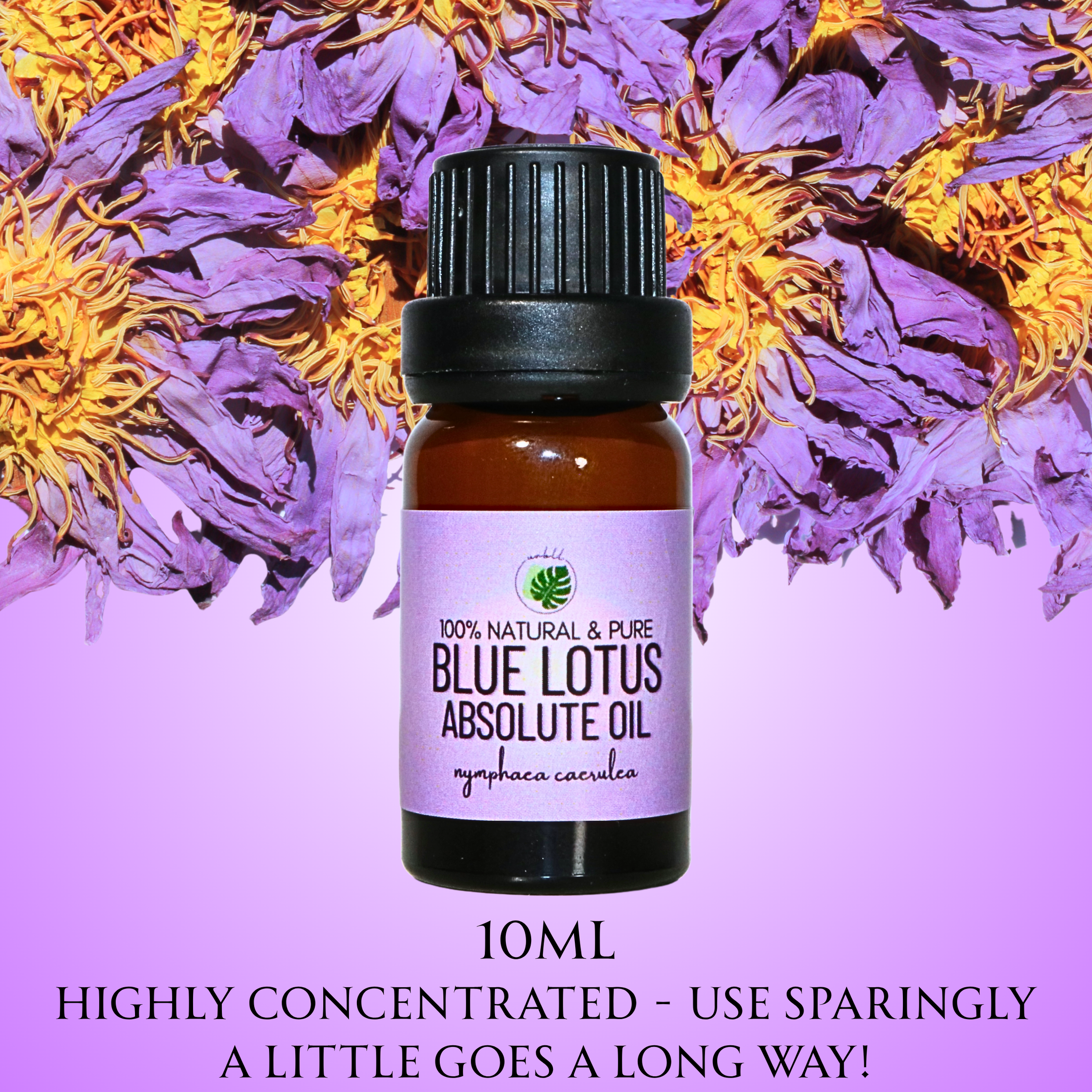 Egyptian Blue Lotus Absolute Oil • Nymphaea caerulea