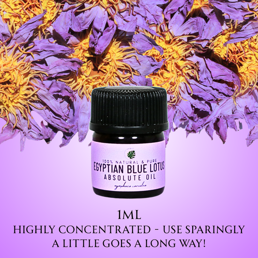 Egyptian Blue Lotus Absolute Oil • Nymphaea caerulea