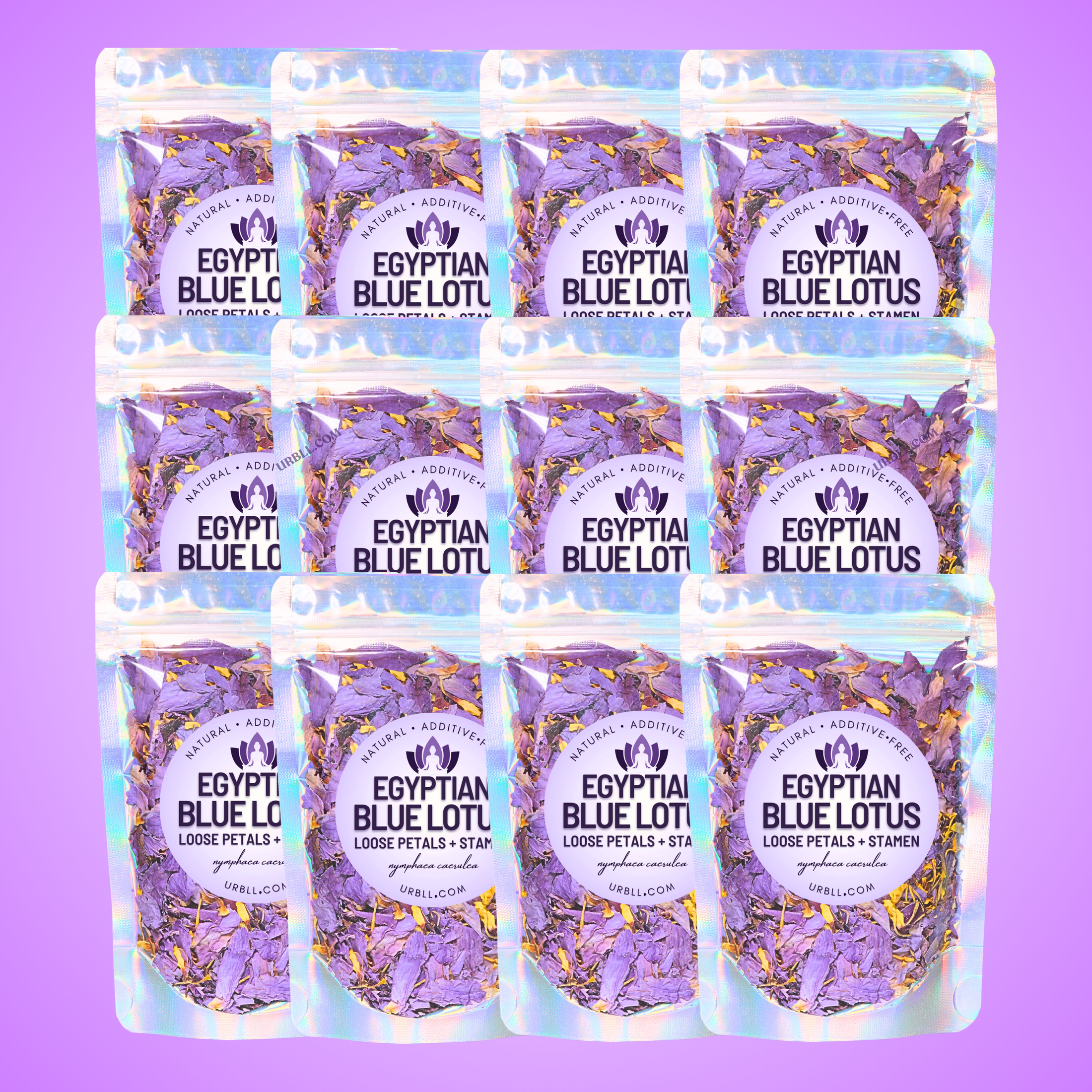 Egyptian Blue Lotus Loose Petals • Wholesale Set of 12