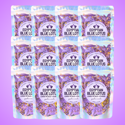 Egyptian Blue Lotus Loose Petals • Wholesale Set of 12