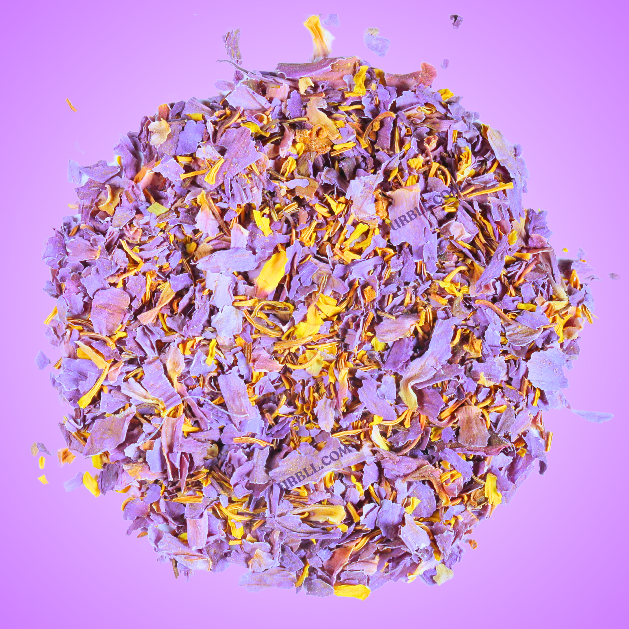 Egyptian Blue Lotus • Pre-Ground