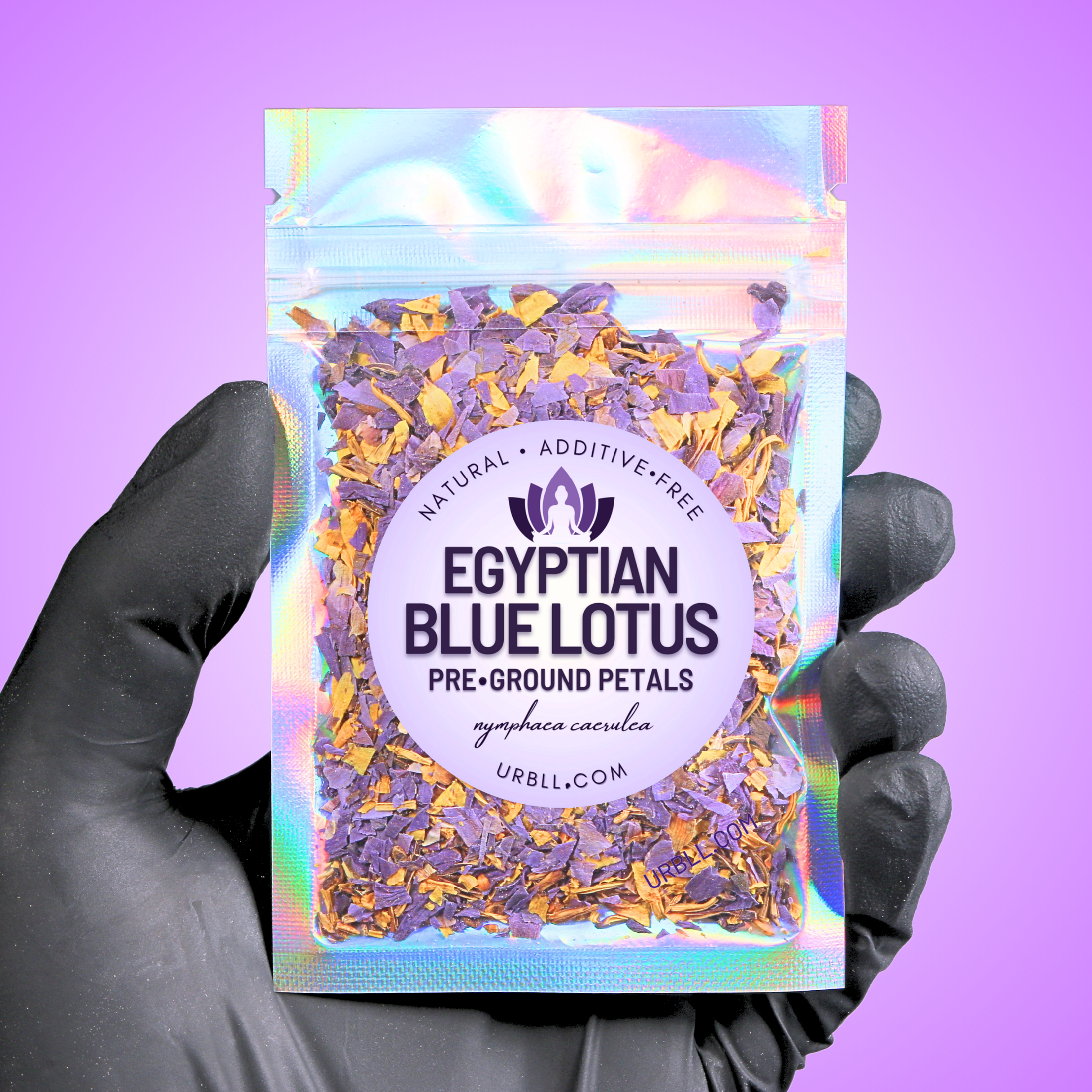 Egyptian Blue Lotus • Pre-Ground