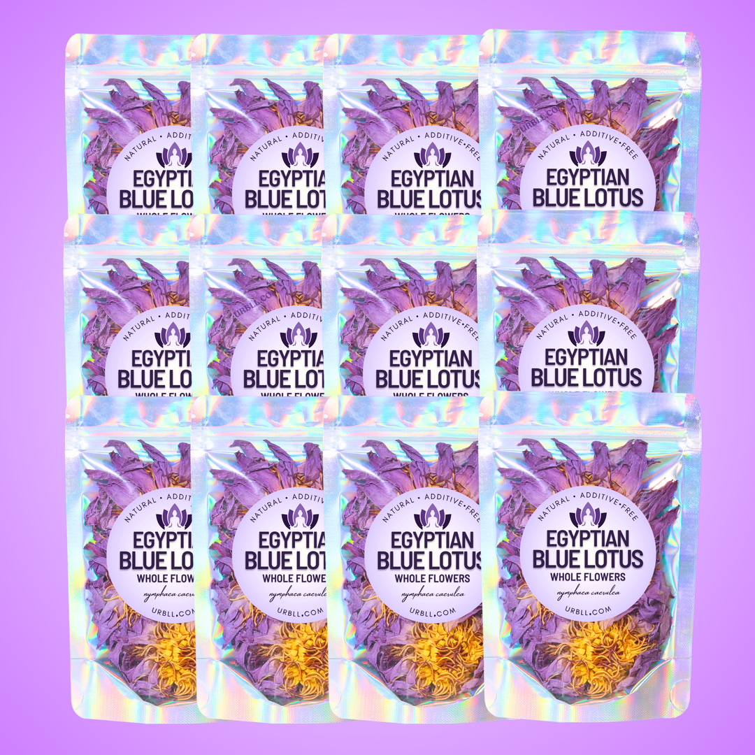 Multiple packages of Egyptian Blue Lotus on a colorful background