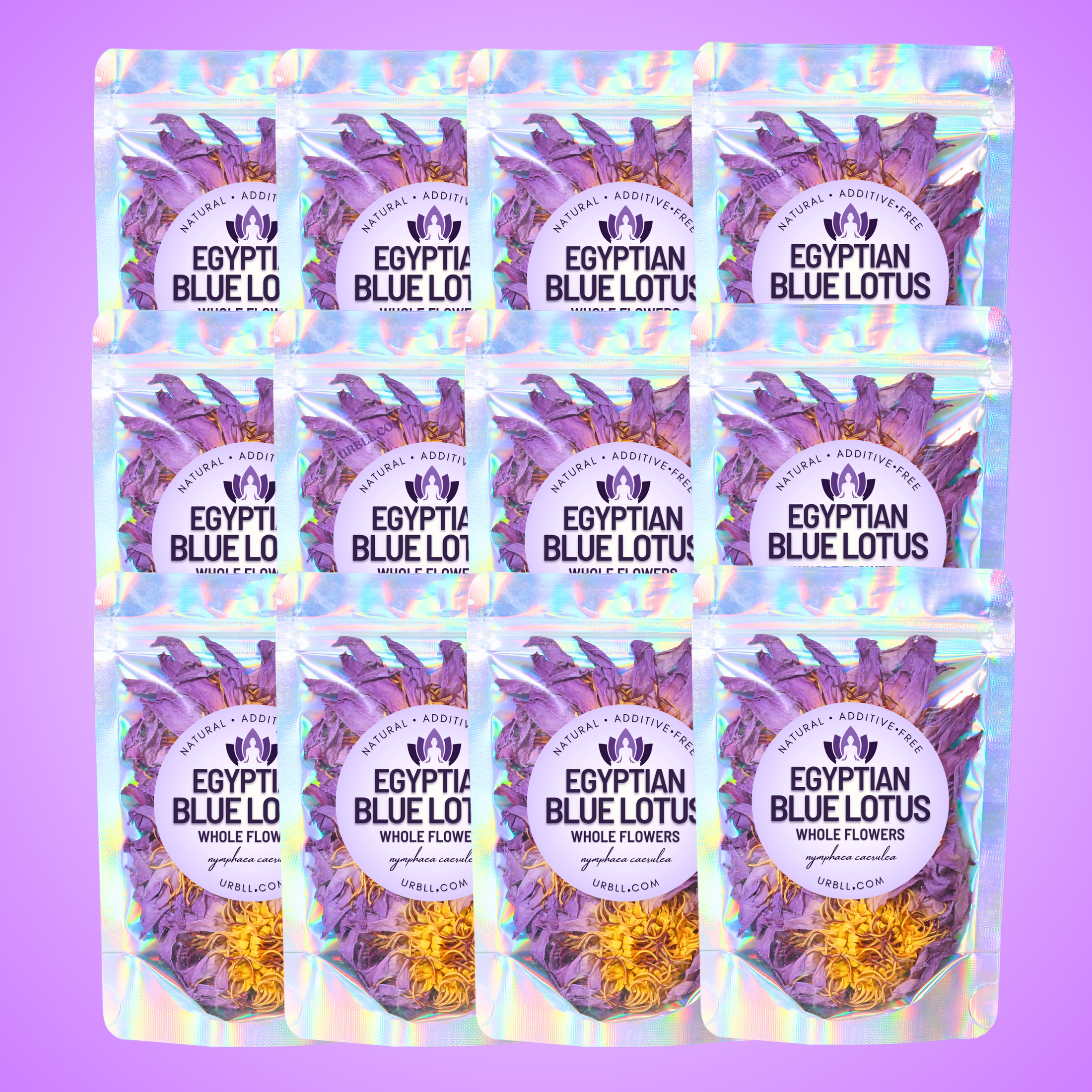 Egyptian Blue Lotus Whole Flowers • Wholesale Set of 12