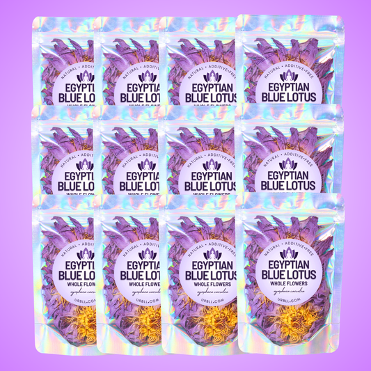 Egyptian Blue Lotus Whole Flowers • Wholesale Set of 12