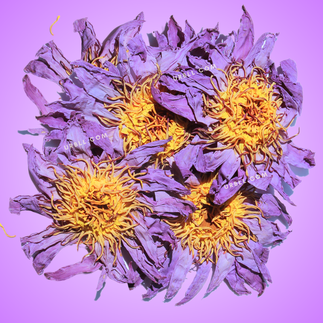 Purple flowers with yellow centers on a purple background
