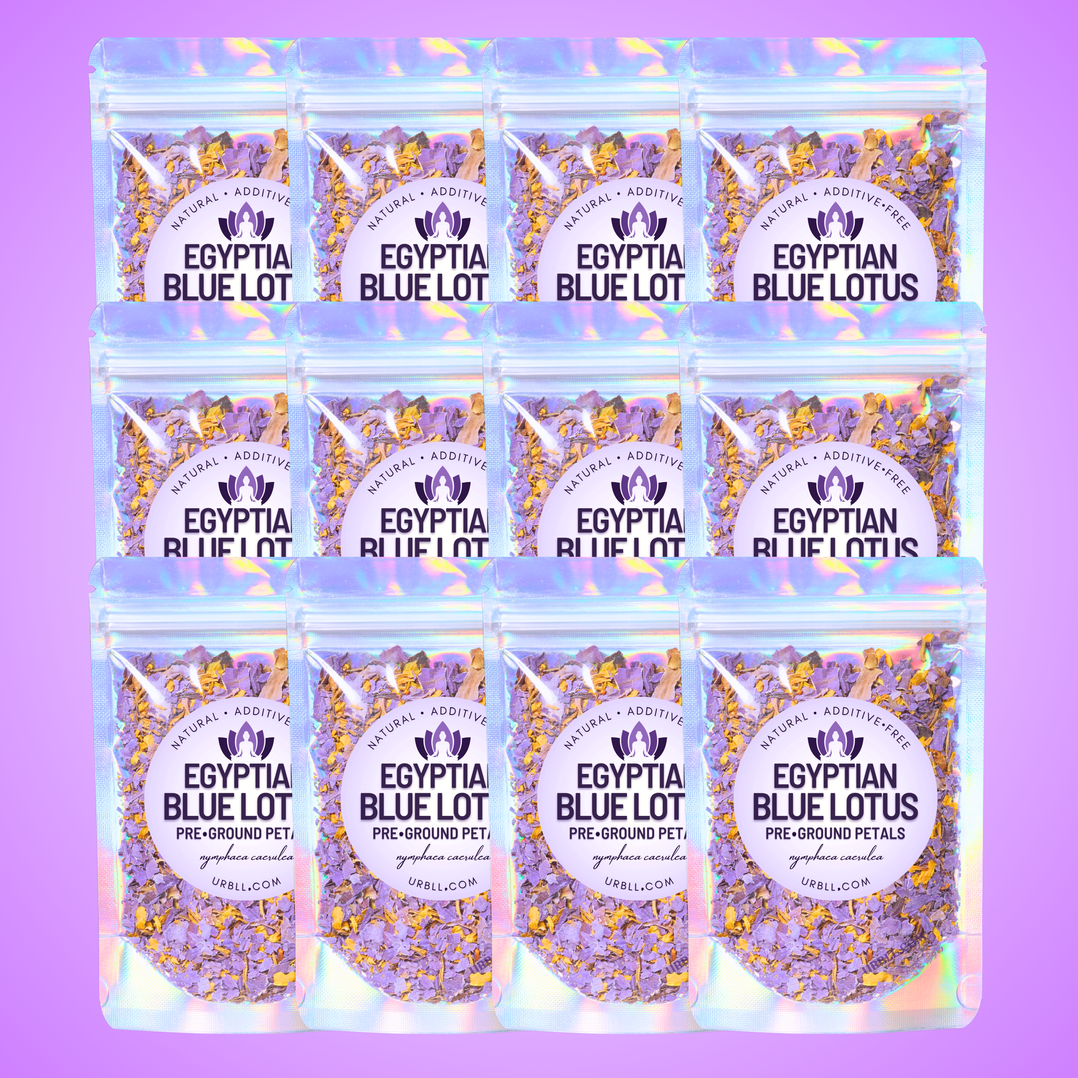 Pre-Ground Egyptian Blue Lotus • Wholesale Set of 12