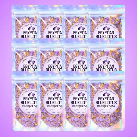 Pre-Ground Egyptian Blue Lotus • Wholesale Set of 12