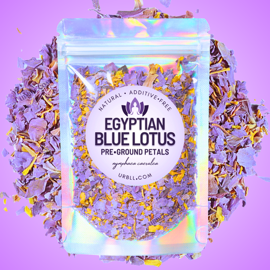 Pre-Ground Egyptian Blue Lotus • Wholesale Set of 12