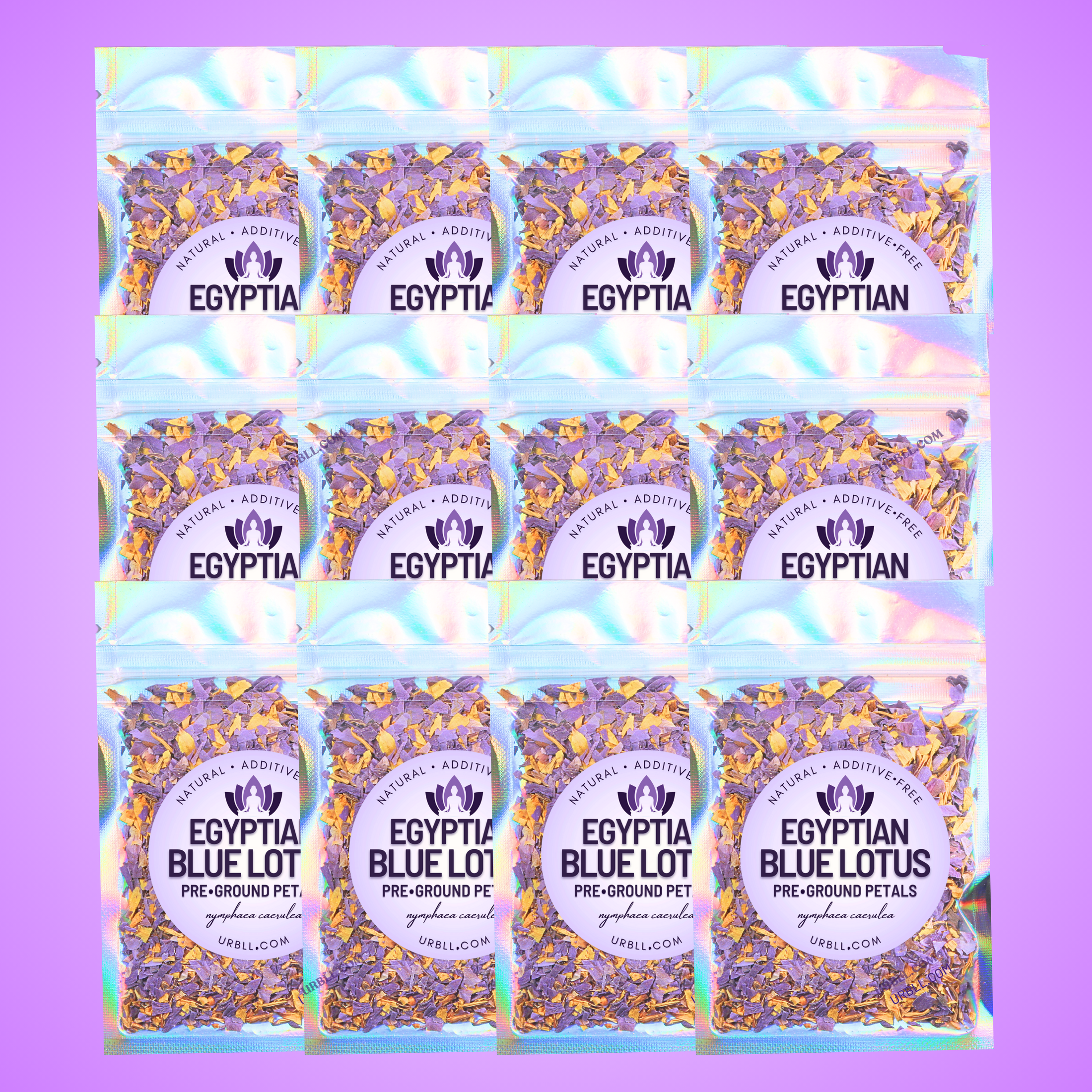 Pre-Ground Egyptian Blue Lotus • Wholesale Set of 12