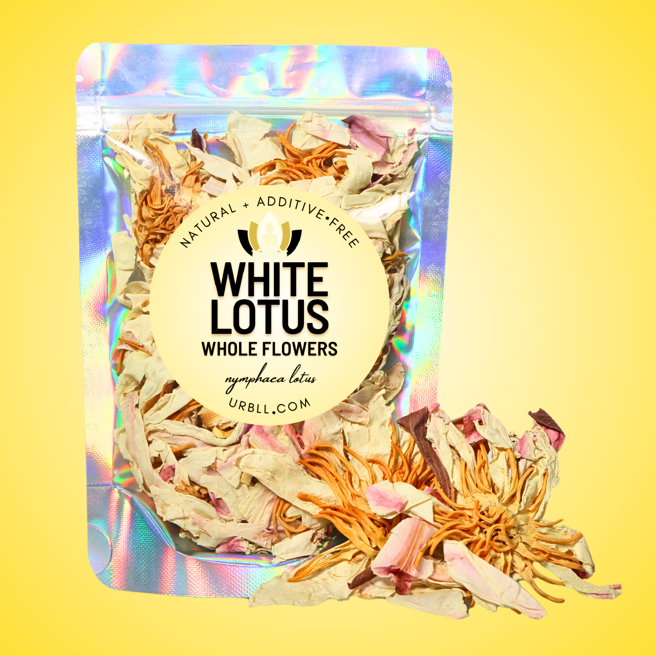 White Lotus • Whole Flowers
