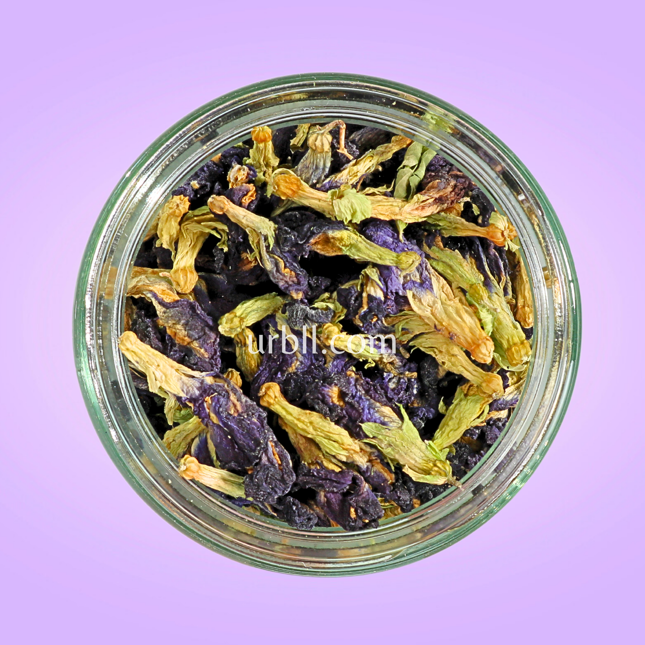 Blue Butterfly Pea Flower