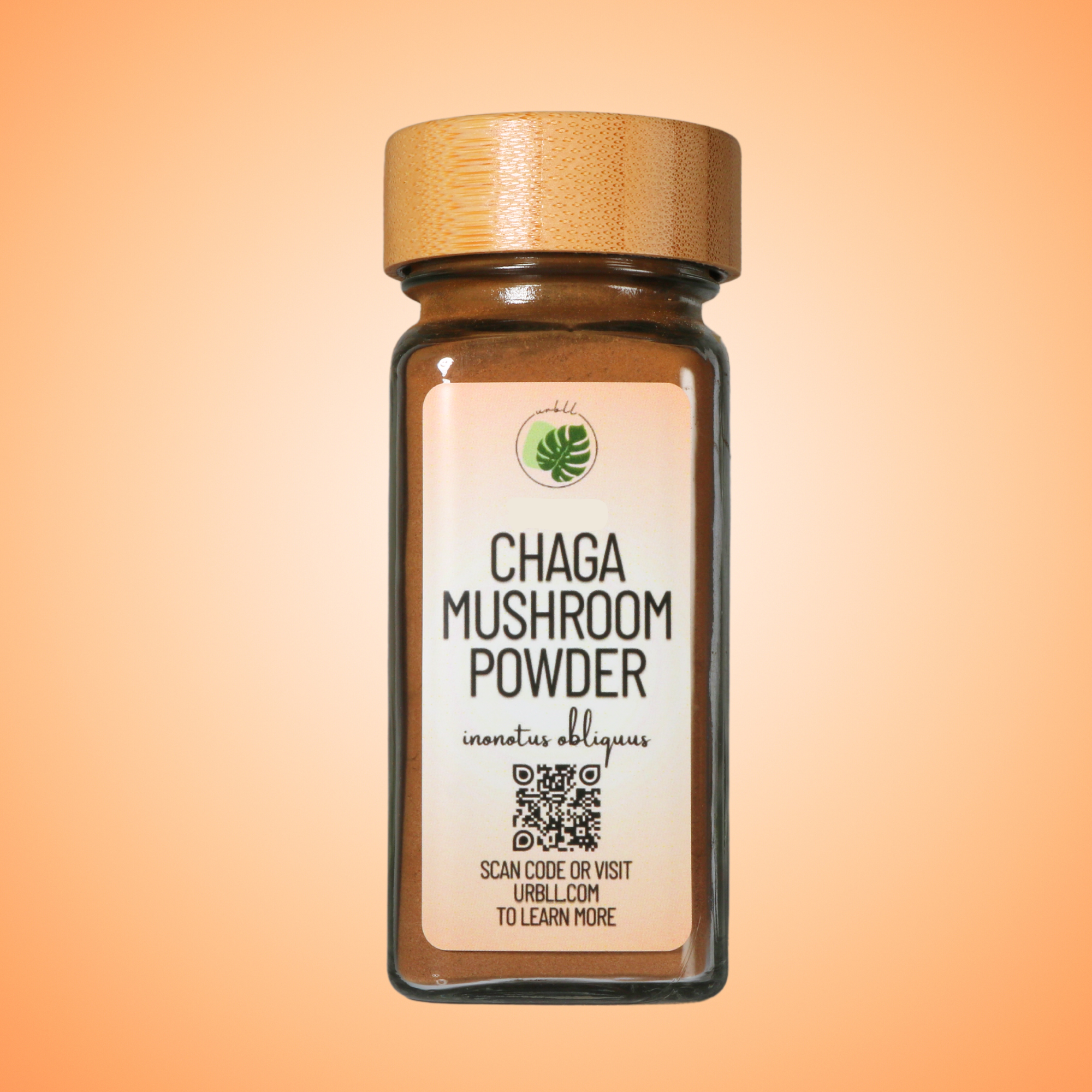 Jar of Chaga Mushroom Powder with a label on an orange gradient background