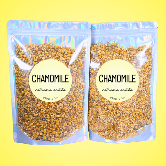Chamomile