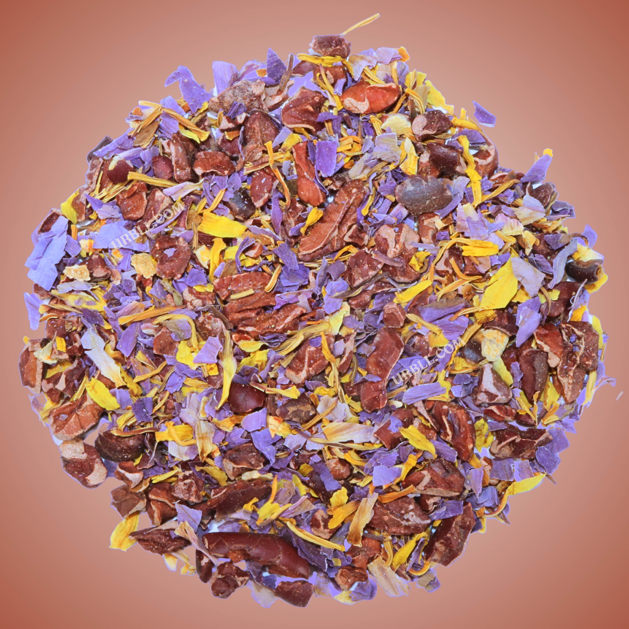 Chocolate Blue Lotus