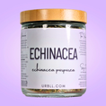 Load image into Gallery viewer, Jar of Echinacea tea with a wooden lid on a purple background
