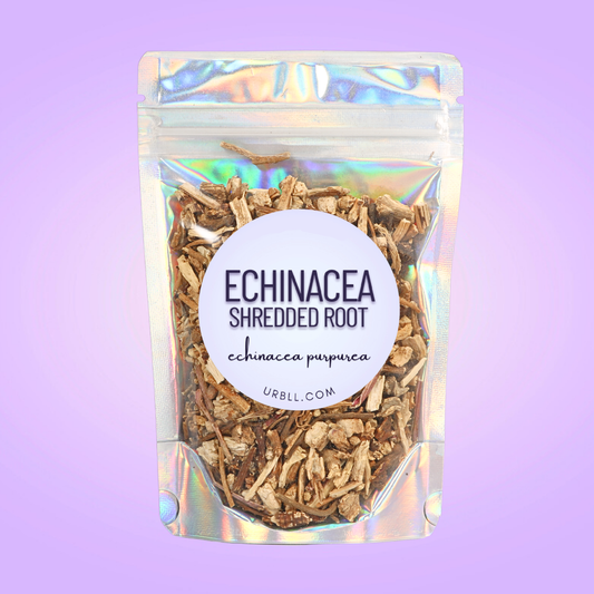 Echinacea Root