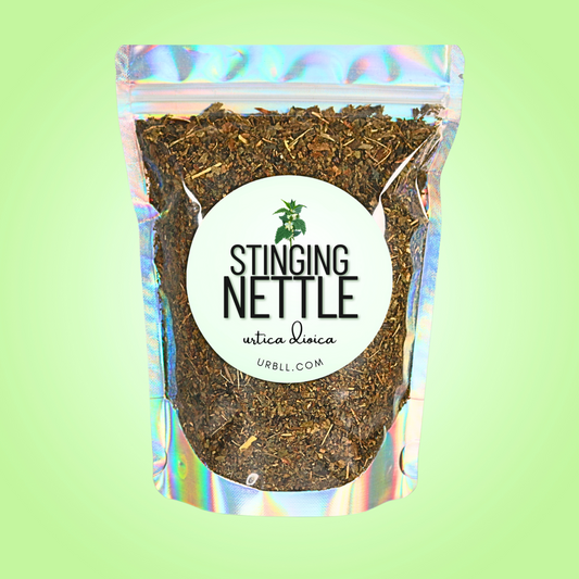 Stinging Nettle Leaf • Urtica dioica