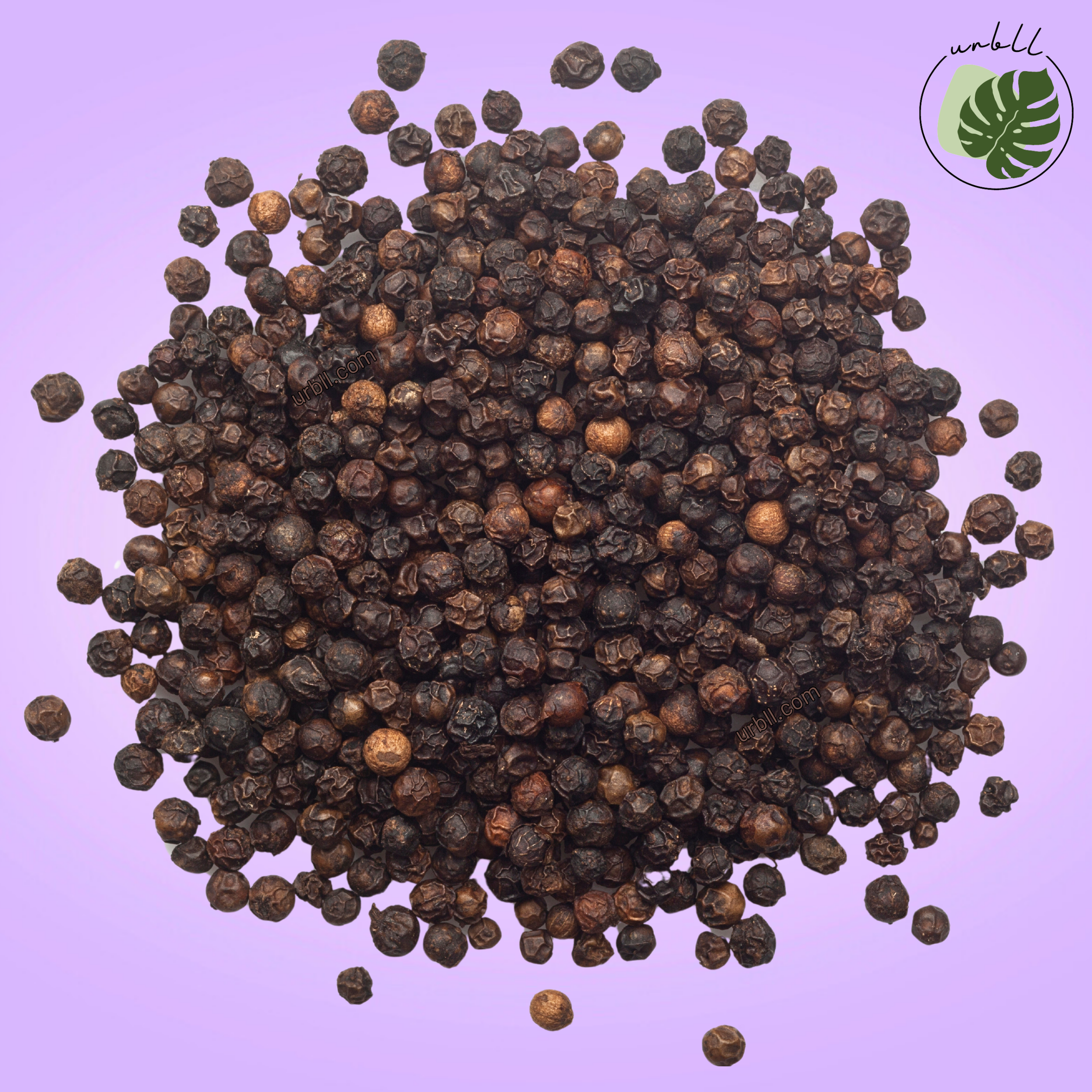 Black Peppercorn